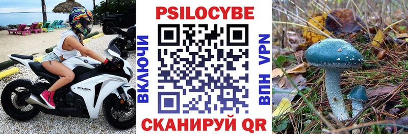 Галлюциногенные грибы Cubensis  omg ссылка  Котово  купить наркоту 